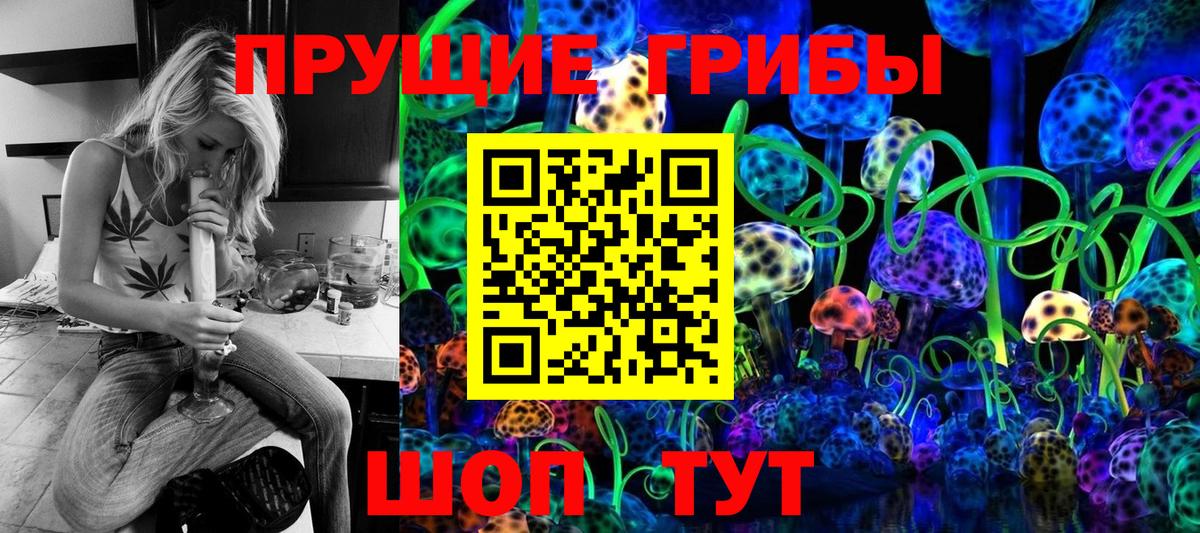 Чистополь  Псилоцибиновые грибы GOLDEN TEACHER  Вход с VPN 